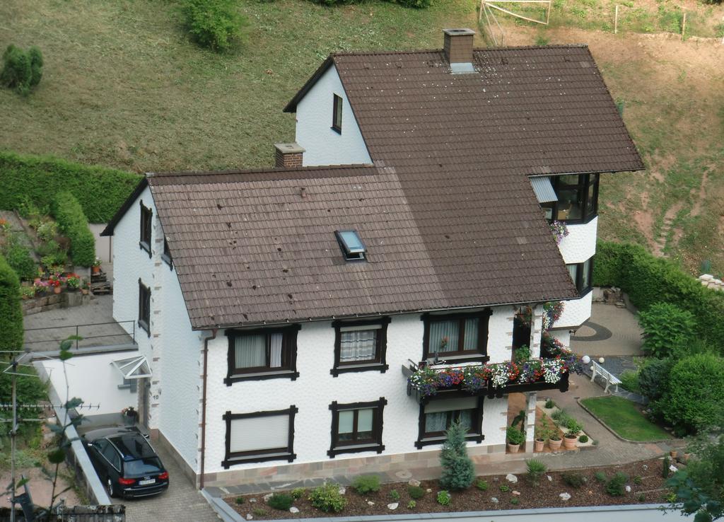 Ferienwohnung Uli Schaetzle Hornberg Eksteriør bilde